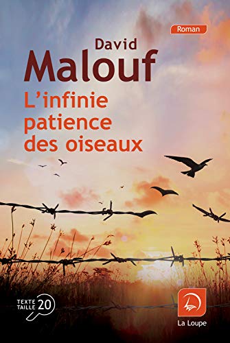 L'Infinie patience des oiseaux